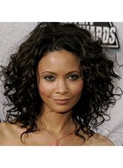Online Wigs for Black Women Medium Black Lace Front Celebrity Hairstyle