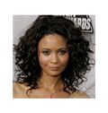 Online Wigs for Black Women Medium Black Lace Front Celebrity Hairstyle