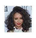 Human Hair Brown Medium Wavy Lace Front 14 Inch Wigs for Black Women