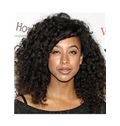 New Style Medium Curly Sepia African American Lace Wigs for Women