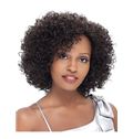 New Impressive Short Curly Brown Side Bang African American Lace Wigs for Women 12 Inch