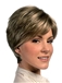 The Fresh Capless Short Straight Gray Remy Hair Wig