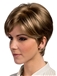 The Fresh Capless Short Straight Gray Remy Hair Wig
