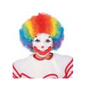 Multi Color Clown Wig