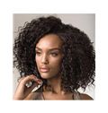 14 Inch Black Full Lace 100% Indian Remy Hair African American Lace Wigs