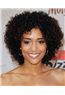 (Fast Shipping) Dainty Short Curly Sepia African American Lace Wigs for Women