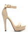 Pointed Toe Ankle Strap Classic high Heels