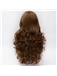 Noble Long Brown Mixed with Blonde Curly Synthetic Cosplay Wig