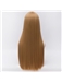 Fashionable Long Straight Lolita Wigs 24 Inches