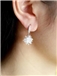 Fashion Zircon Ice Flower Silver Needle Earrings