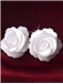 Fashion Natural Shell Roses Earrings